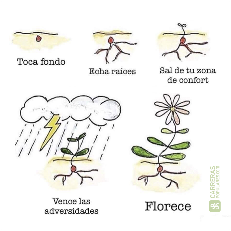 Toca fondo - Vence las adversidades - Florece