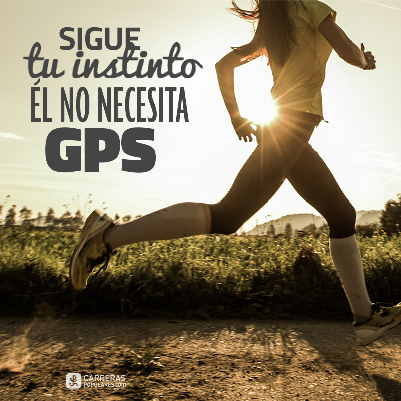 Sigue tu instinto él no necesita GPS
