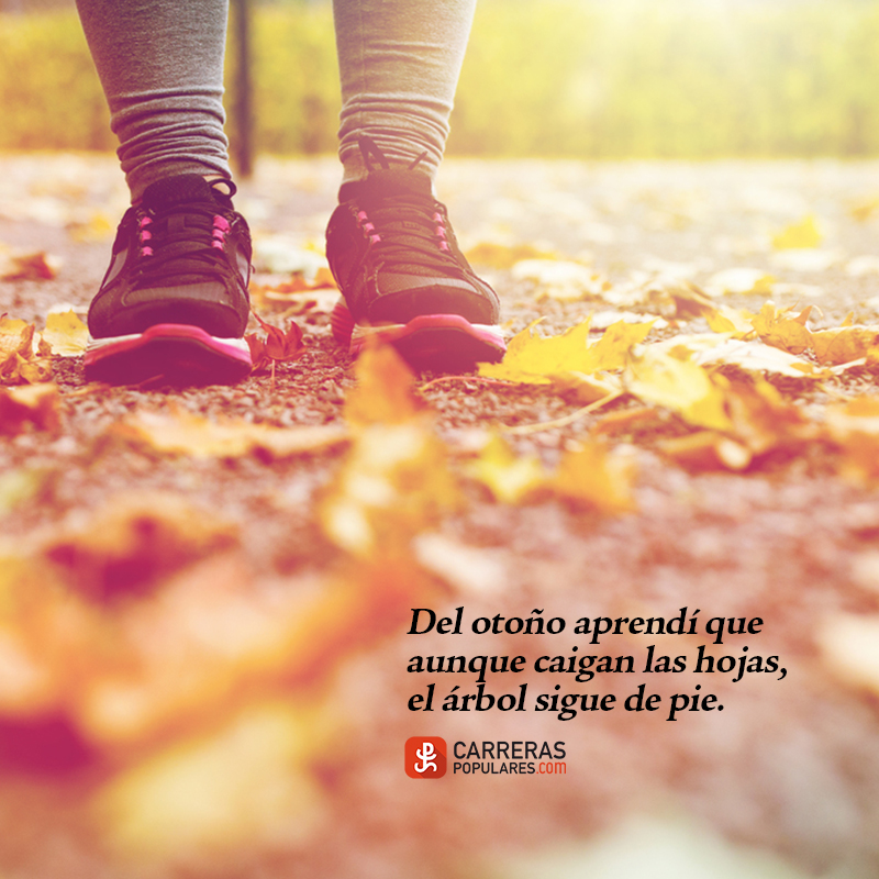 Del otoño aprendí que aunque caigan las hojas, el árbol sigue de pie.