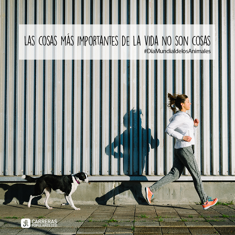 Las cosas más importantes de la vida no son cosas.