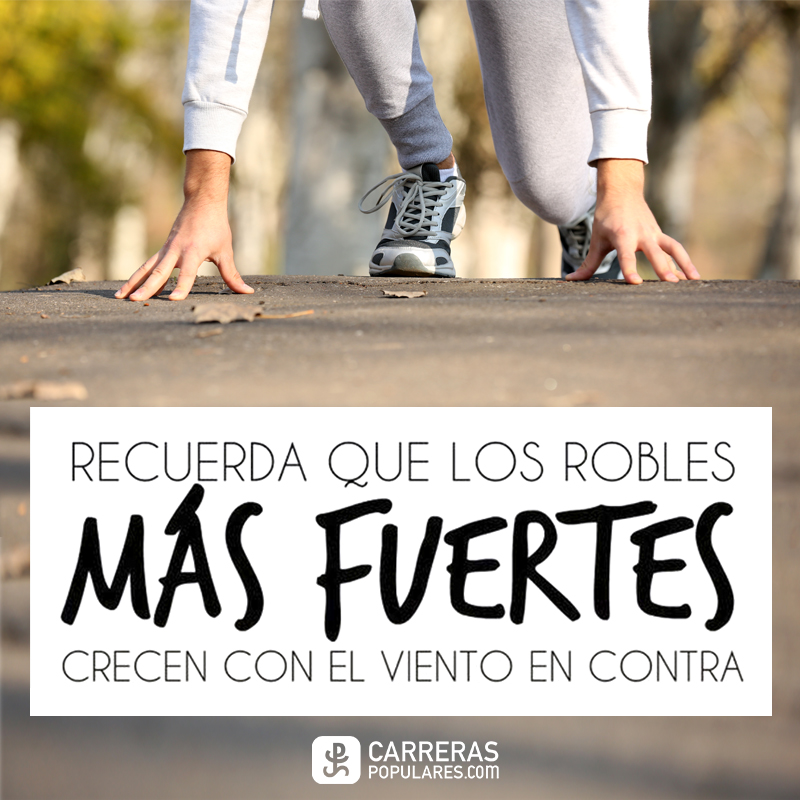 Recuerda que los robles más fuertes crecen con el viento en contra.