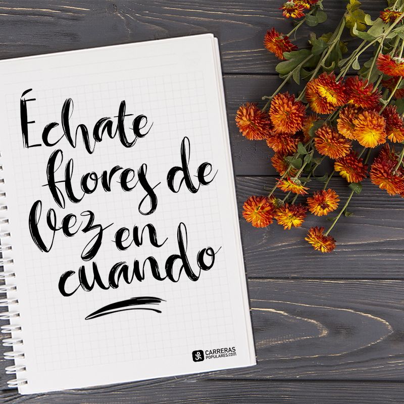 Échate flores de vez en cuando
