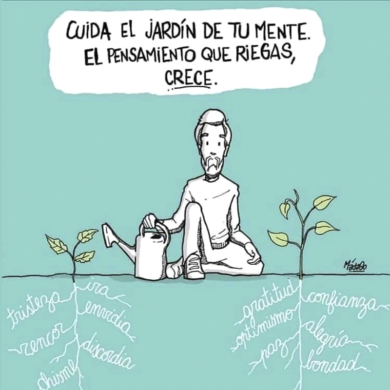 Cuida el jardín de tu mente. El pensamiento que riegas, crece.