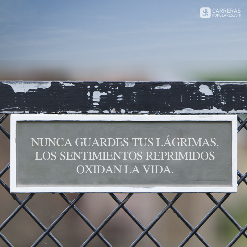 Nunca guardes tus lágrimas, los sentimientos reprimidos oxidan la vida