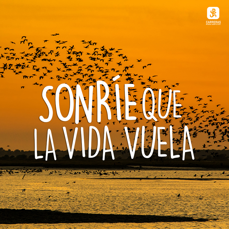 Sonríe que la vida vuela