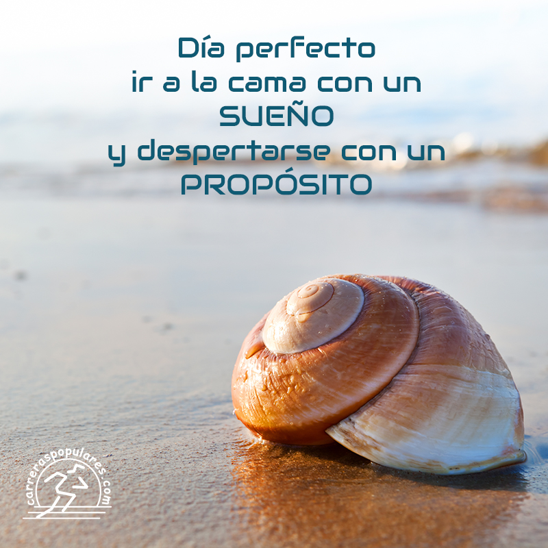 Día perfecto ir a la cama con un SUEÑO y despertarse con un PROPOSITO