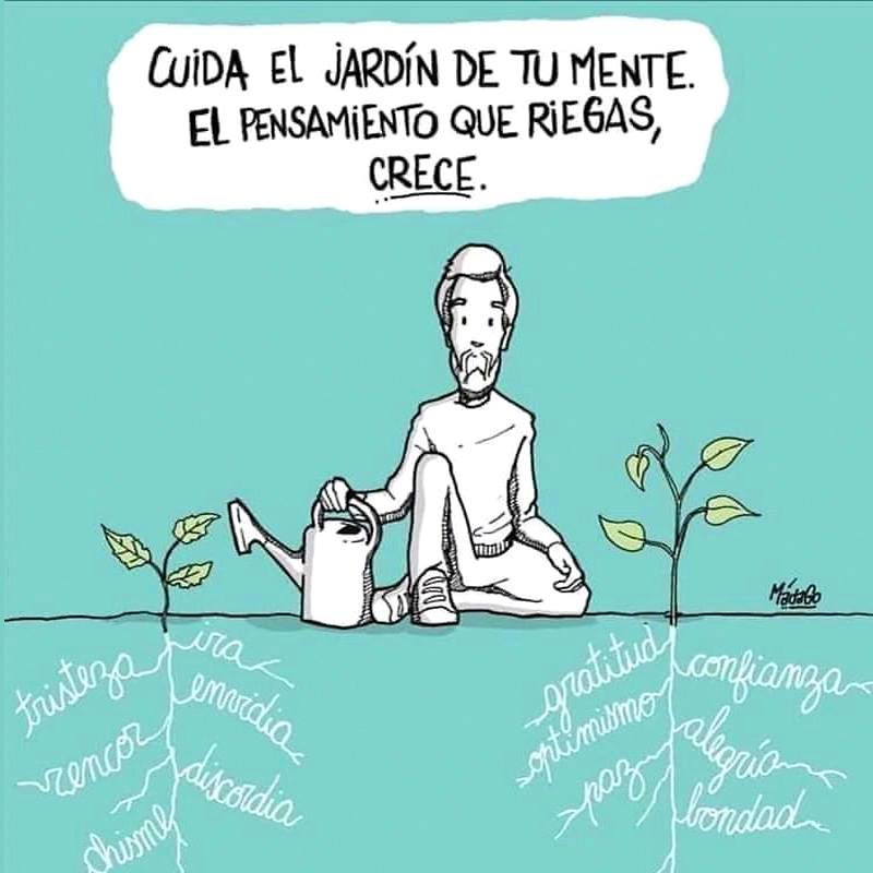 Cuida el jardín de tu mente. El pensamiento que riegas, crece.