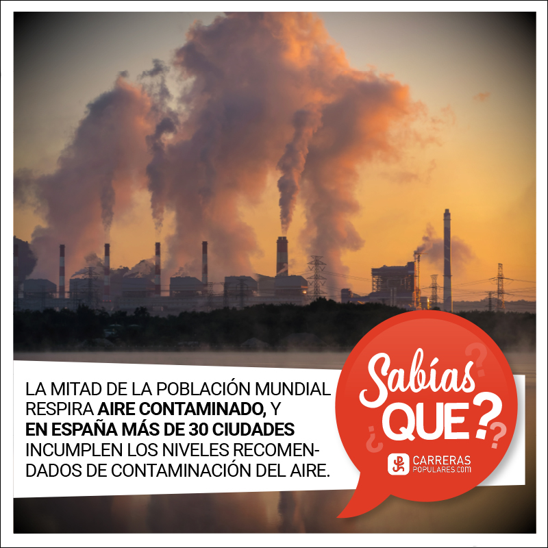 Cuando hablamos del core hablamos del transverso abdominal, los oblicuos, el recto abdominal, el suelo pélvico, el diafragma, y el multifidus además de la espalda baja y los músculos de la cadera.