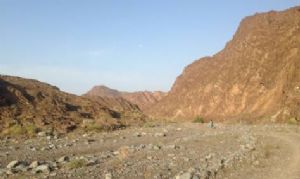En Emiratos Árabes Unidos también se disputan carreras de trail 