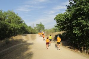La suplementación deportiva puede ayudar a mejorar el rendimiento del corredor