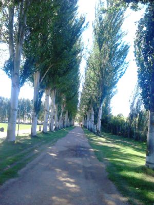 Complejo Universitario Salas Bajas, en Salamanca
