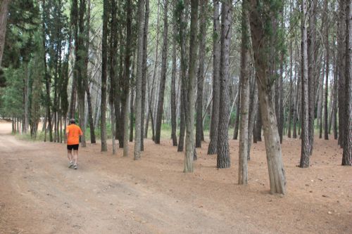 El autor del artículo, Paco Noguera, corriendo por la ruta en los alrededores de Navajas
