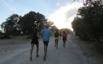La Casa de Campo de Madrid tiene multitud de caminos y circuitos por los que correr 