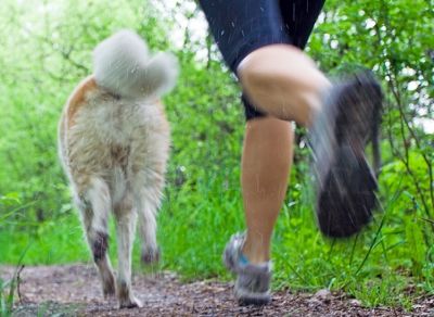 Es habitual cruzarse con perros en los parques por los que corremos