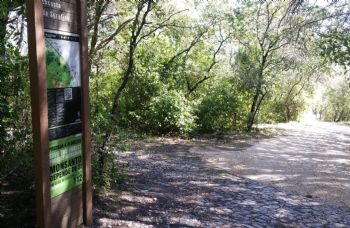 Parque forestal de Monsanto, en Lisboa